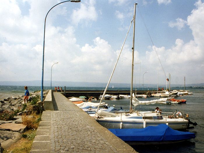 [Immagine: 2011621182520_1993 Bolsena 2.jpg]